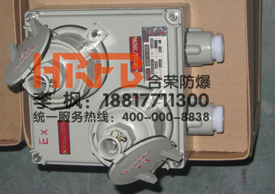 BCX51系列防爆配電箱 專業(yè)照明動(dòng)力解決方案與廠家直銷優(yōu)勢